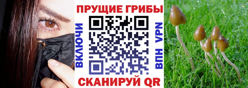 Псилоцибиновые грибы Cubensis Игра